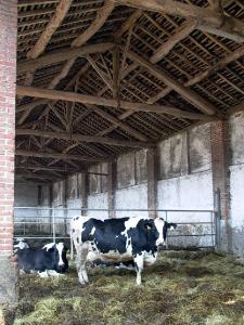 Portico della Cascina Trognano (ex)