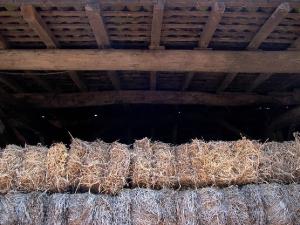 Portichetto della pila della Cascina Trognano (ex)