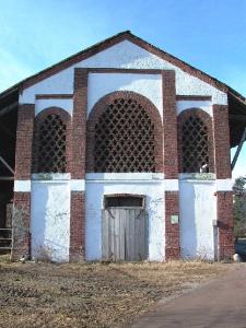 Stallone della Cascina Carbonizza