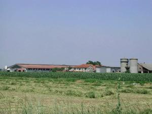 Cascina Nesporedo - complesso