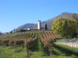 Convento di S. Maria della Consolazione (ex) - complesso