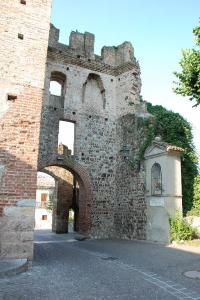 Mura del castello di Castellaro Lagusello