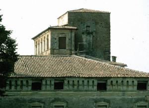 Palazzo Gonzaga di Vescovato - complesso
