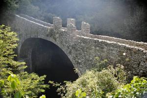 Ponte fortificato