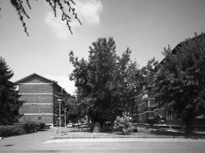 Quartiere Pilota, Sant'Angelo Lodigiano (LO) - fotografia di Introini, Marco (2015)