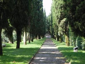 Memoriale alla Croce Rossa Italiana, Solferino (MN) - fotografia di Servi, Maria Beatrice (2014)