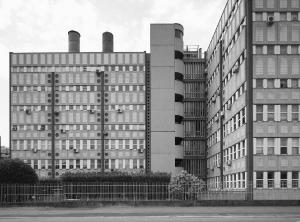 Facoltà di Biologia, Milano (MI) - fotografia di Introini, Marco (2016)