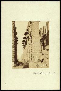 Sito archeologico - Egitto - Karnak - Tempio di Amon - Colonne centrali della grande sala ipostila / Ritratto maschile - Gruppo di uomini egiziani con muli