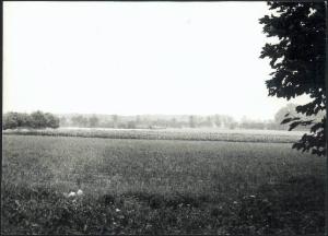 Acquanegra sul Chiese - Campi