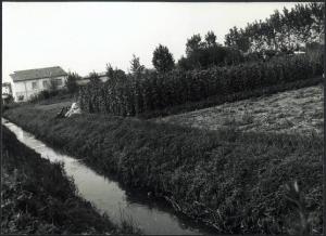 Acquanegra sul Chiese - Canale - Campi - Casa