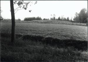 Acquanegra sul Chiese - Campi