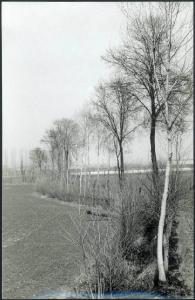 Acquanegra sul Chiese - Campi