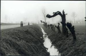 Acquanegra sul Chiese - Canale