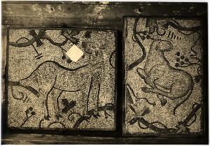 Aquileia - Museo Paleocristiano. Frammenti incorniciati di pavimento musivo raffiguranti ovini a riposo o pascolanti fra tralci vitinei stilizzati (V sec. ?).
