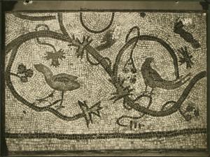 Aquileia - Museo Paleocristiano. Frammento incorniciato di pavimento musivo raffigurante degli uccelli fra tralci vitinei stilizzati (V sec.?).