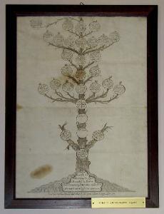 Albero genealogico