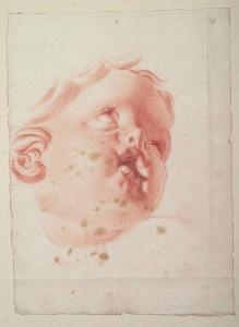 Putto