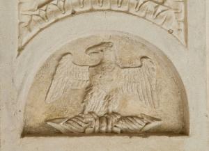 AQUILA DI GIOVE