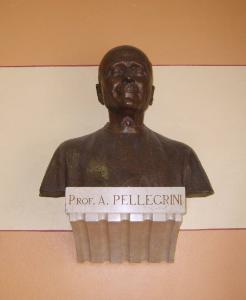 Ritratto del prof. A. Pellegrini