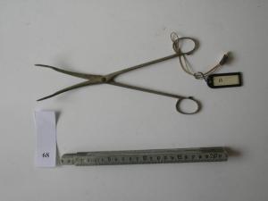 Pinza ad anello - medicina