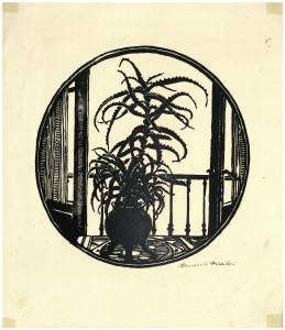 Il cactus