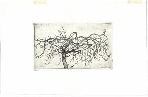 L'albero secco