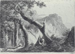 Scena montana con alcuni alberi