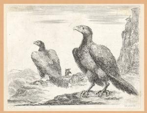 Les aigles (Le aquile)