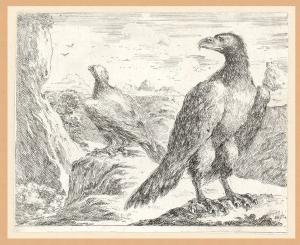 Les aigles (Le aquile)