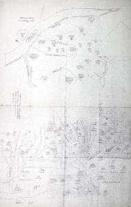 PIANTA TOPOGRAFICA DI PARTE DEGLI STATI MANTOVANO E CREMONESE