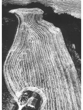 Mario Giacomelli, dalla serie Presa di coscienza sulla natura, 1982 ca.